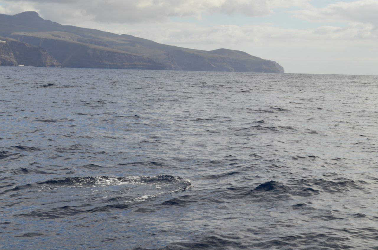 Atlantic
