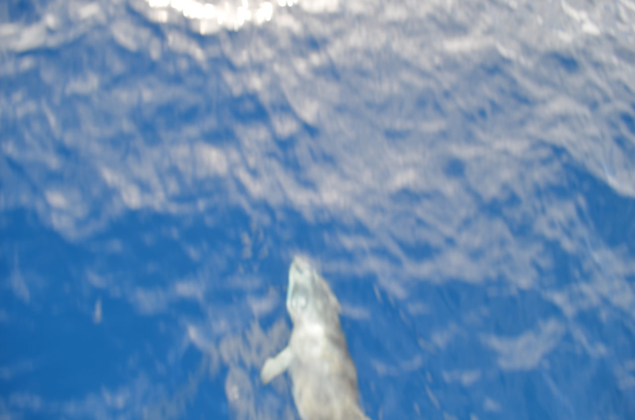 Atlantic