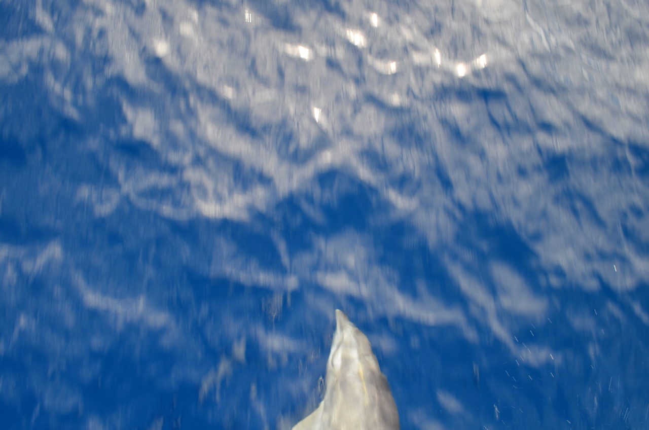 Atlantic