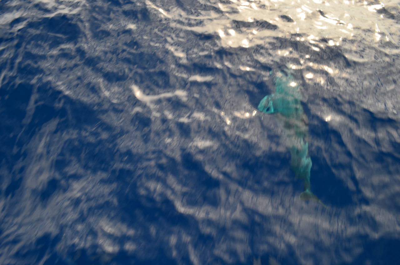 Atlantic