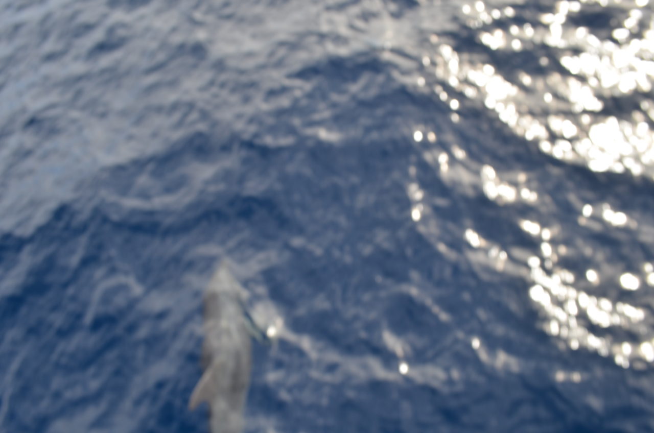 Atlantic