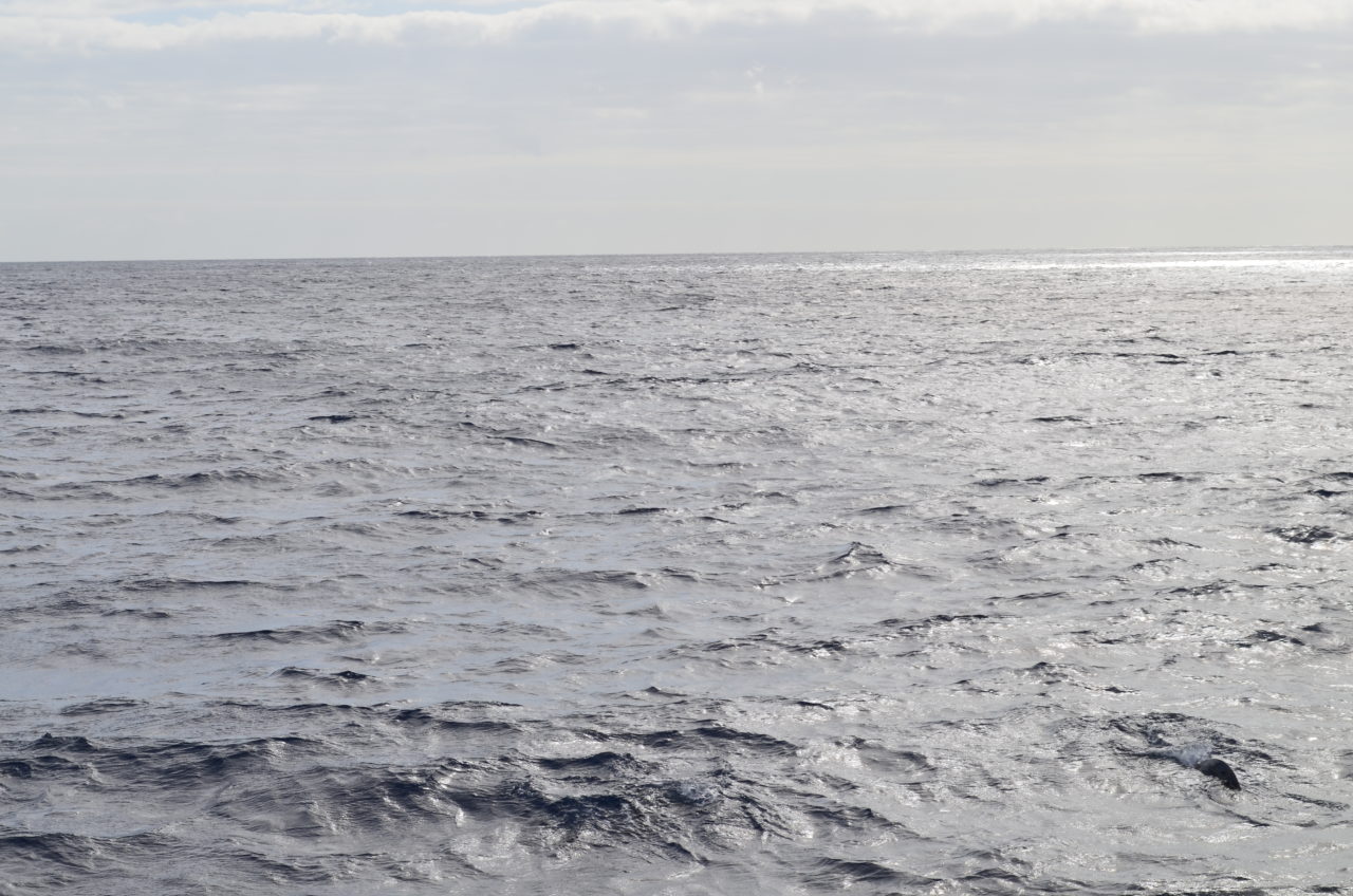 Atlantic