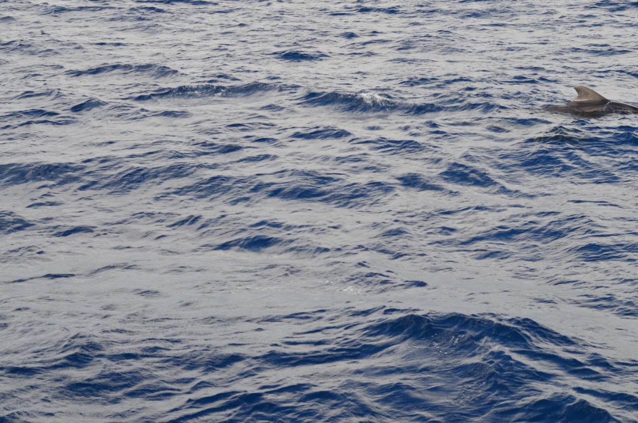 Atlantic