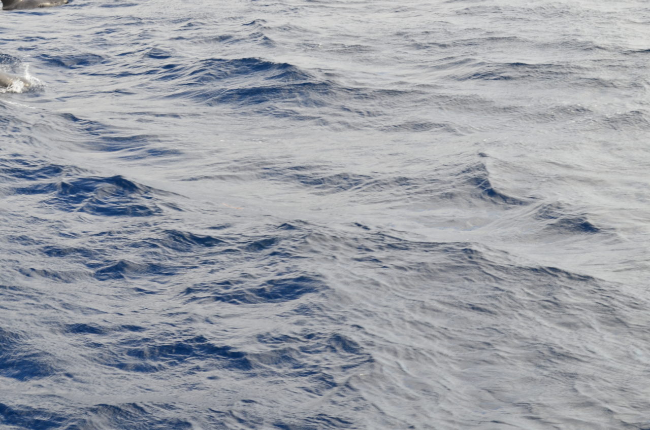 Atlantic