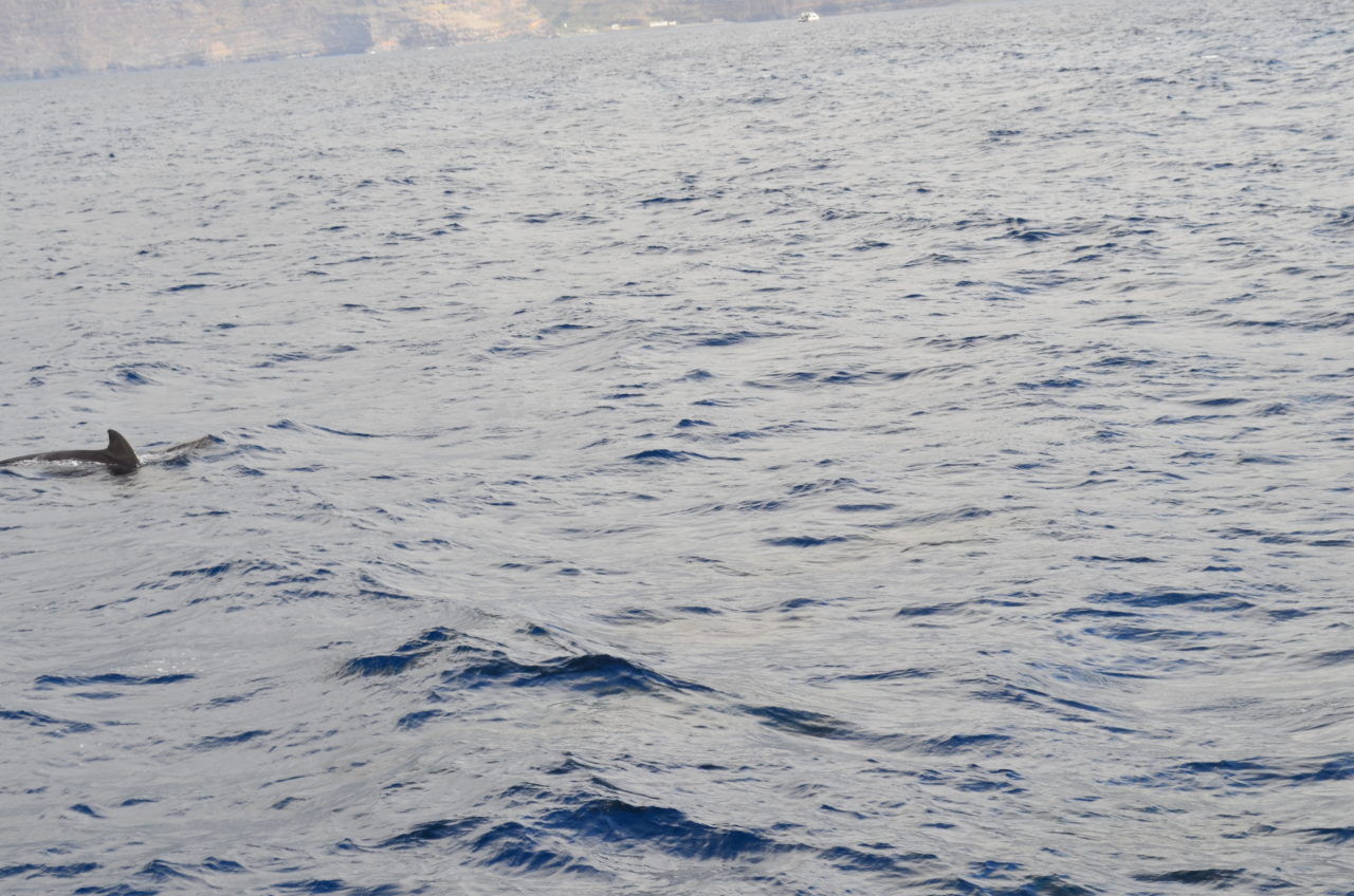 Atlantic