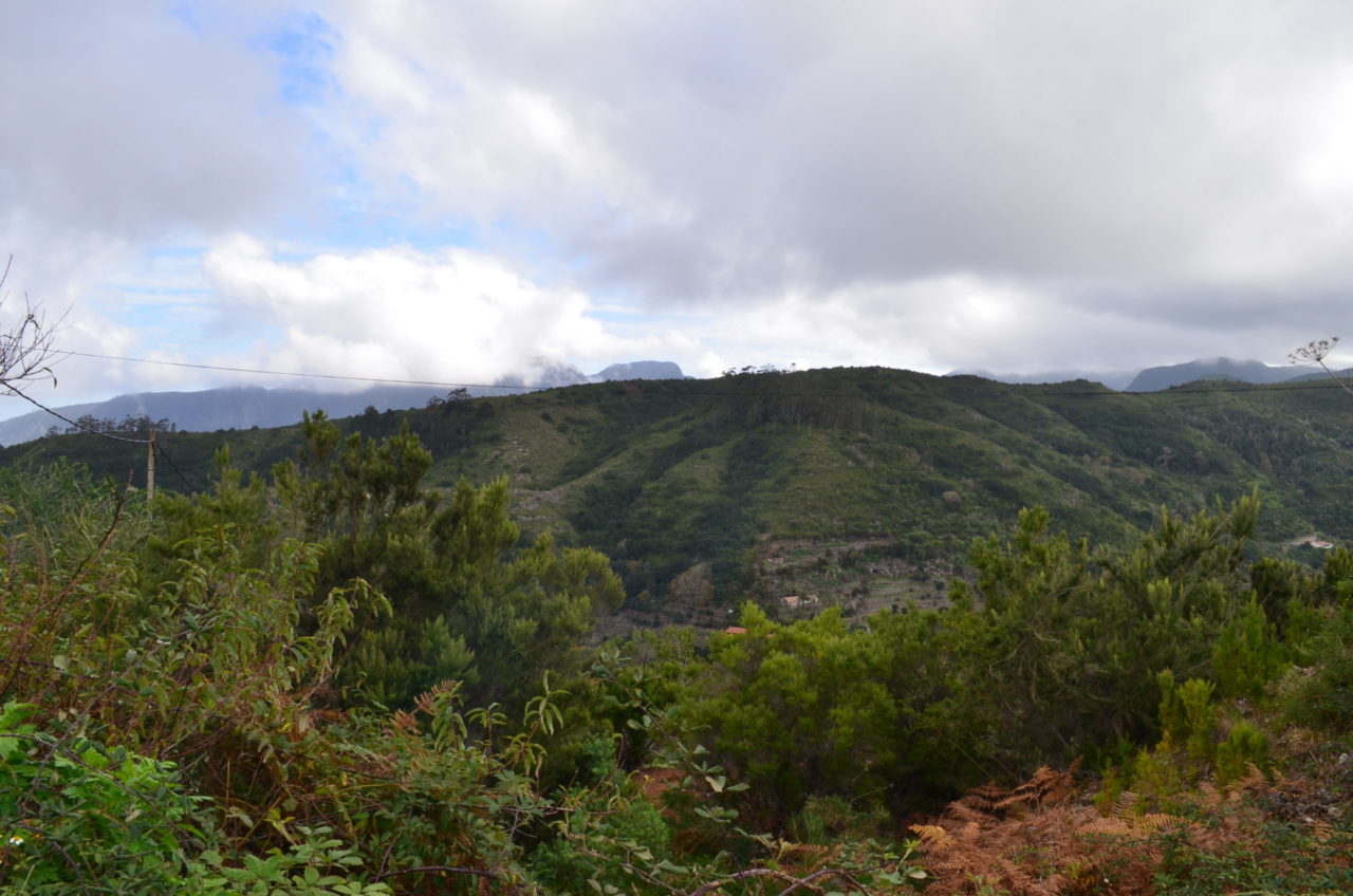 La Gomera
