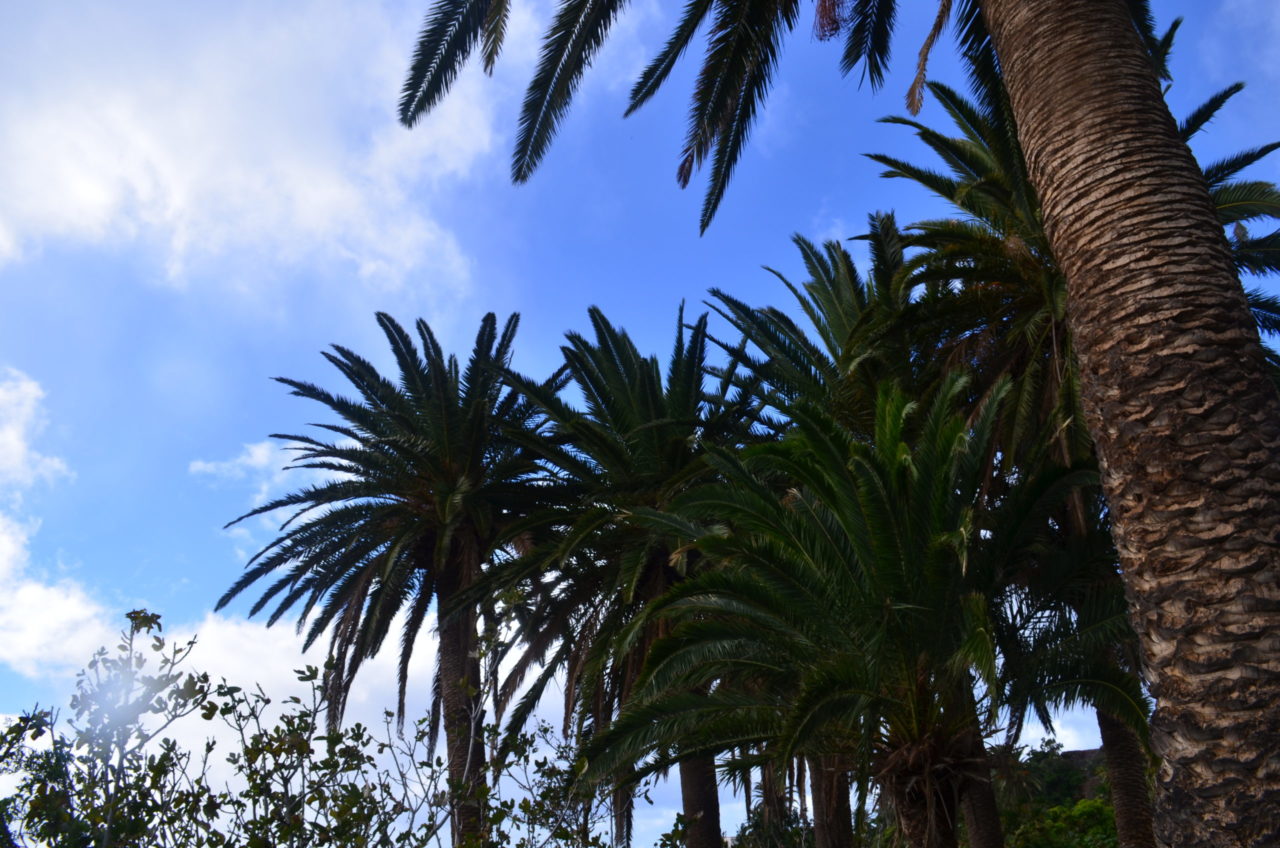 La Gomera