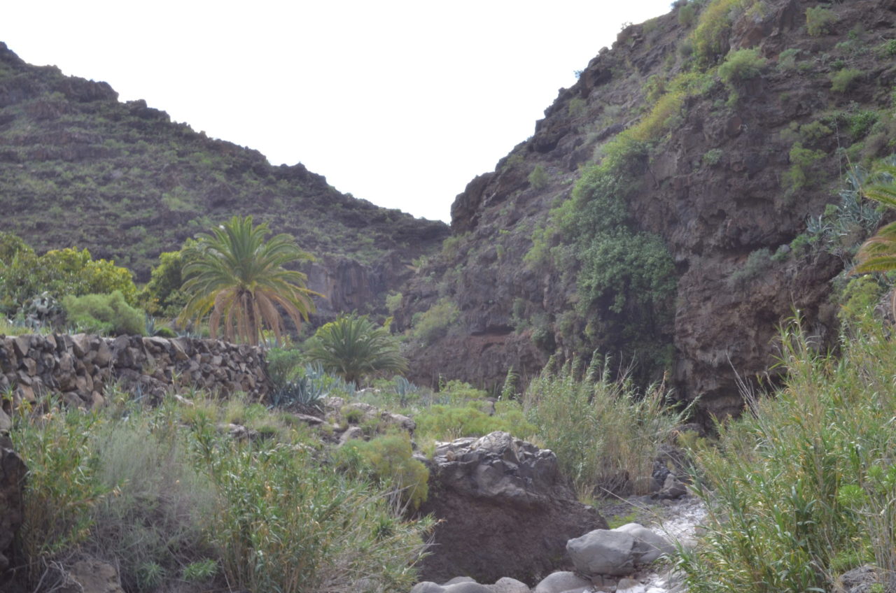La Gomera