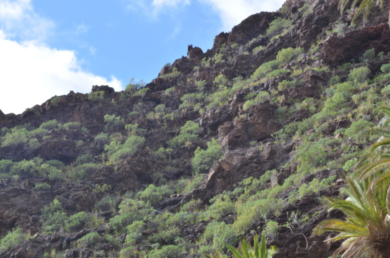 La Gomera