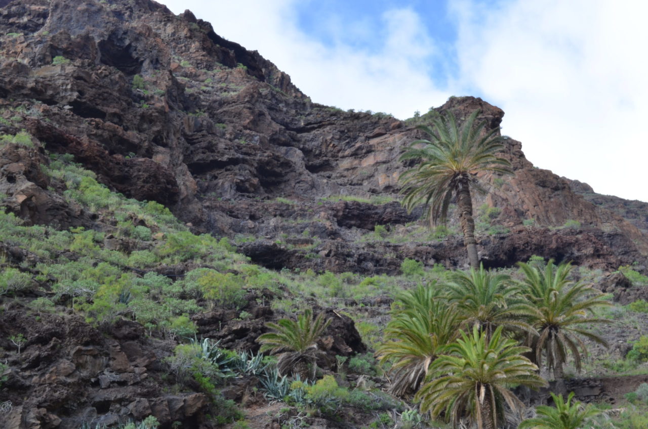 La Gomera