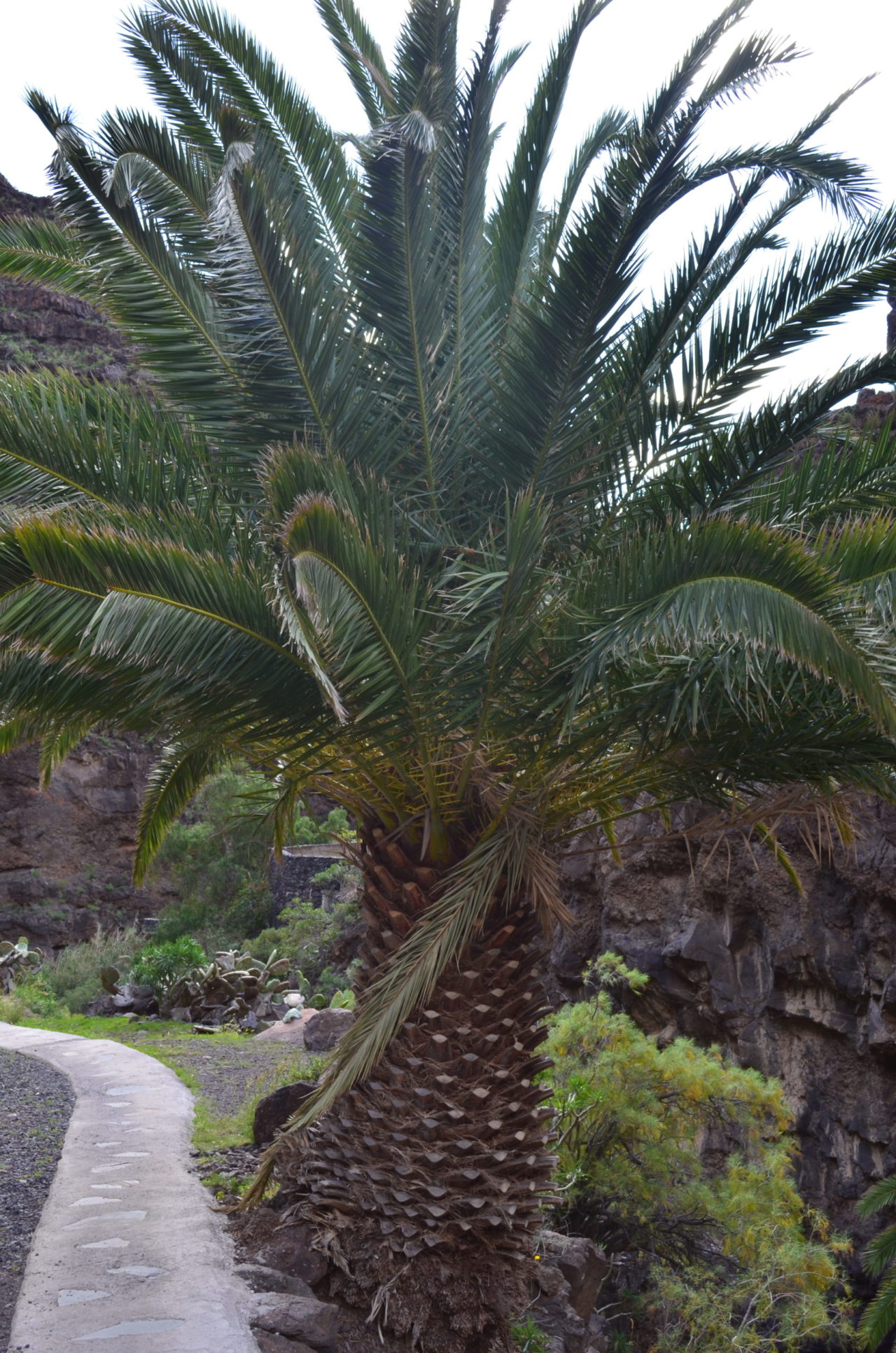 La Gomera