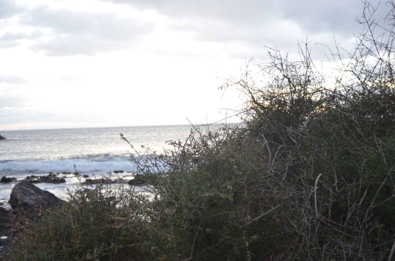 La Gomera