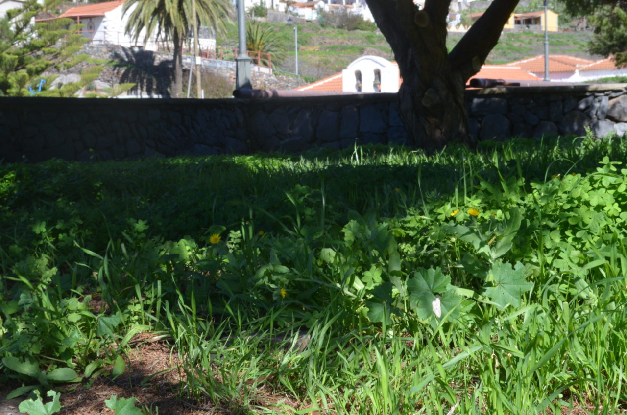 La Gomera