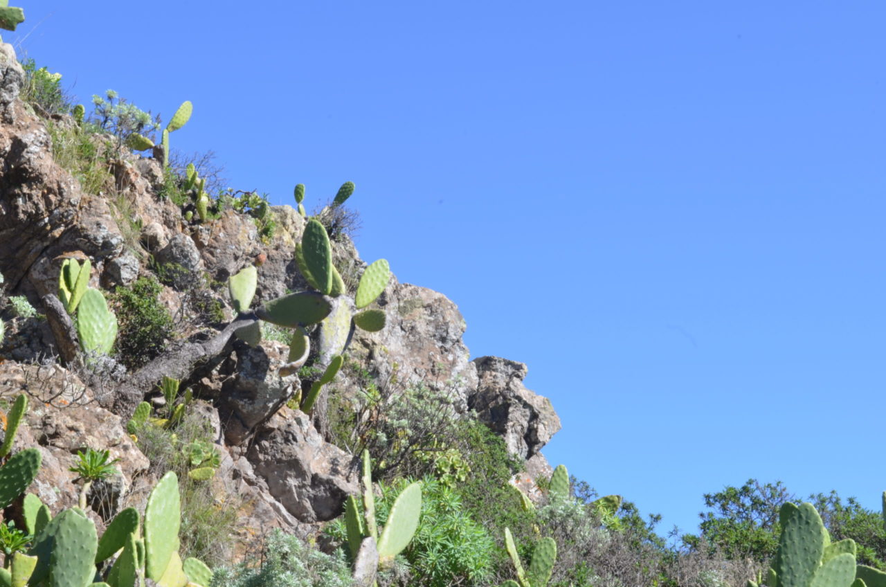 La Gomera