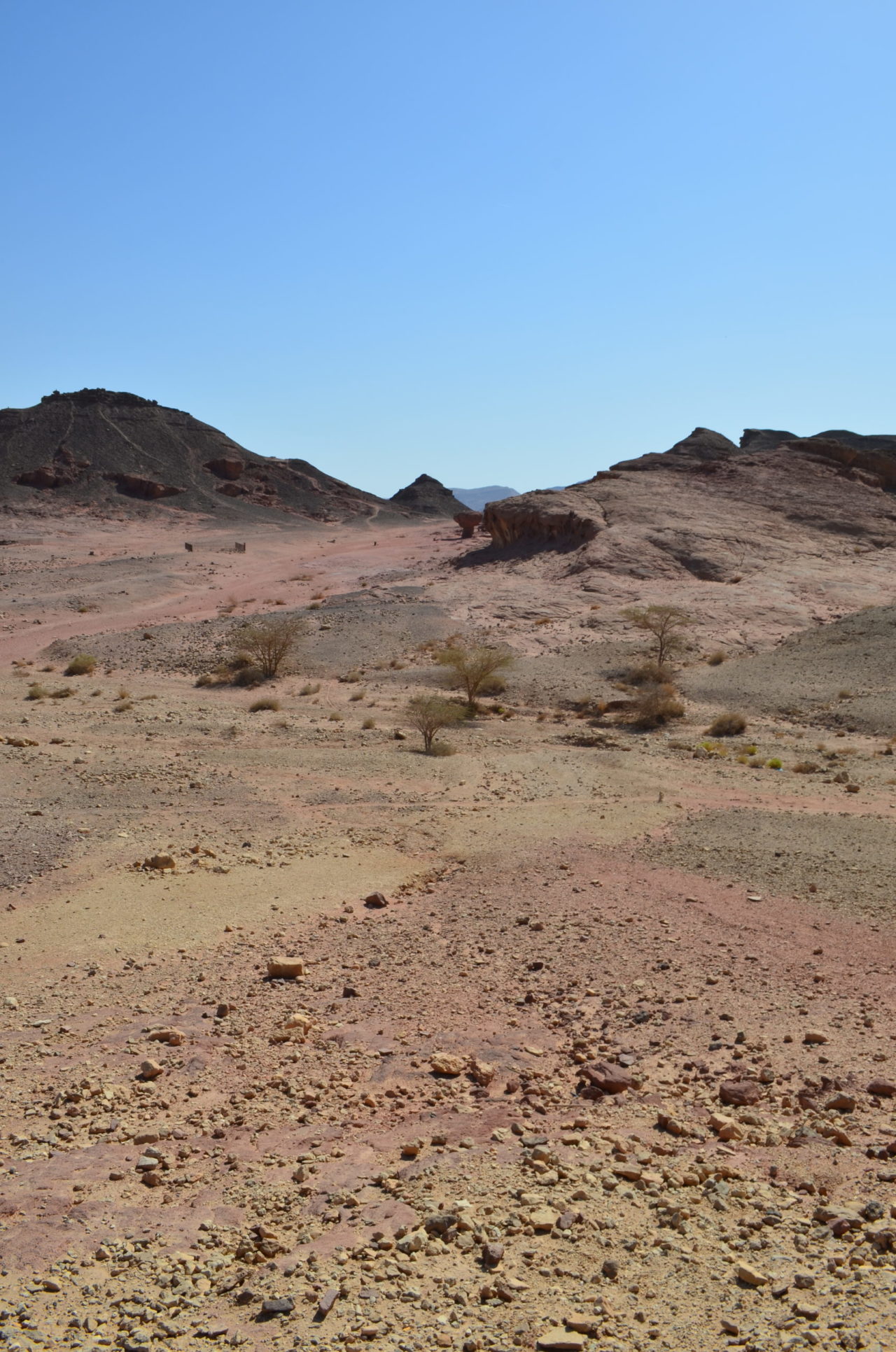 Wüste Negev