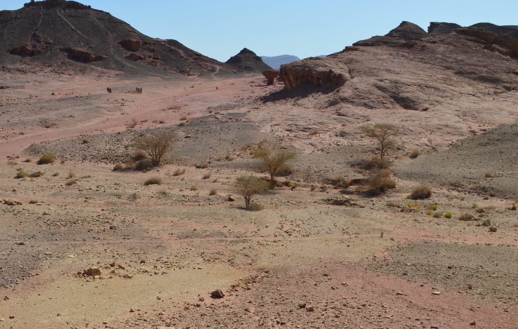Wüste Negev